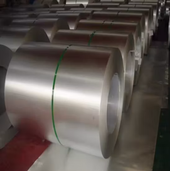 Stainless Steel Coil Aluminum/Galvanized/Stainless/Hot Cold Rolled/Carbon/Inconel/Alloy/Dx51d/304/Gl/Al/Gi